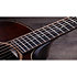Builder's Edition K24ce +Etui Taylor