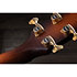Builder's Edition K24ce +Etui Taylor