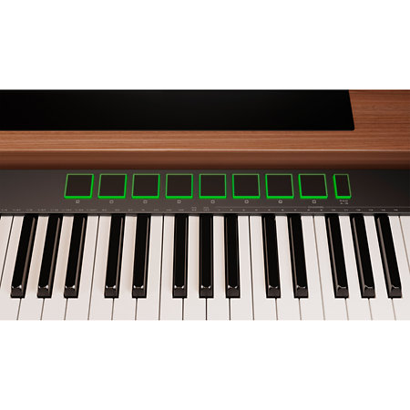 NTK-61 NUX