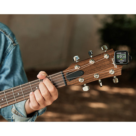 Taylor Beacon accordeur 5-en-1