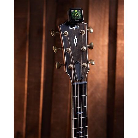 Beacon accordeur 5-en-1 Taylor