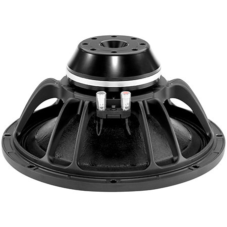 12NW76 GO 8 Ohm B&C Speakers