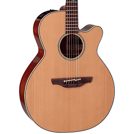 FSF40C NEX Santa Fe Natural Gloss + Housse Takamine