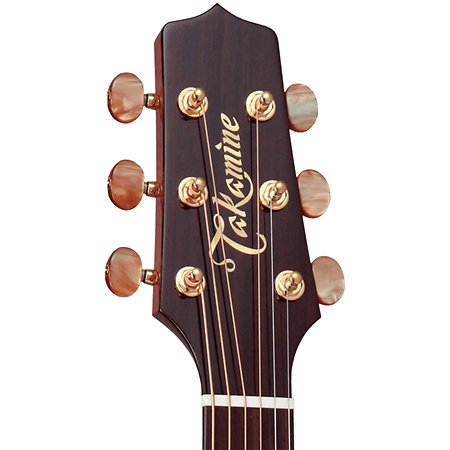FSF40C NEX Santa Fe Natural Gloss + Housse Takamine