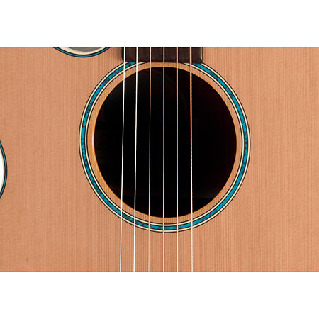 Takamine FSF40C-LH NEX Santa Fe Natural Gloss + Housse