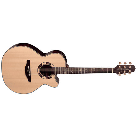 DSF48C NEX Santa Fe Natural Gloss + Housse Takamine