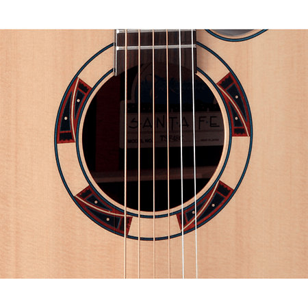 DSF48C NEX Santa Fe Natural Gloss + Housse Takamine