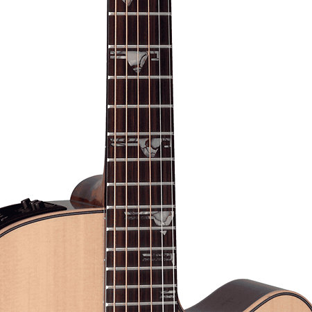 DSF48C NEX Santa Fe Natural Gloss + Housse Takamine