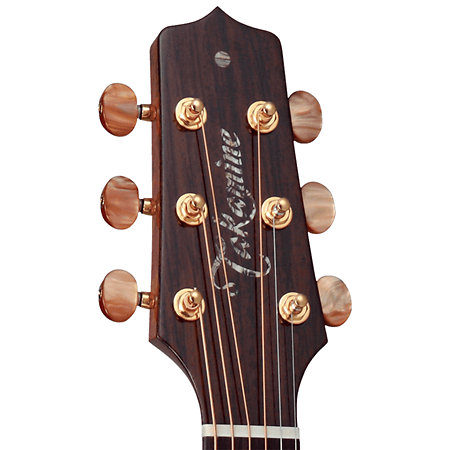DSF48C NEX Santa Fe Natural Gloss + Housse Takamine