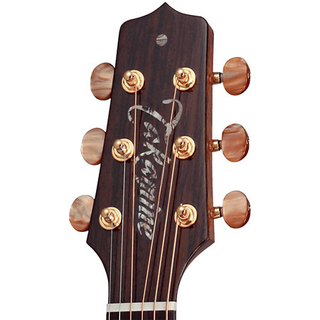 DSF48C-LH NEX Santa Fe Natural Gloss + Housse Takamine