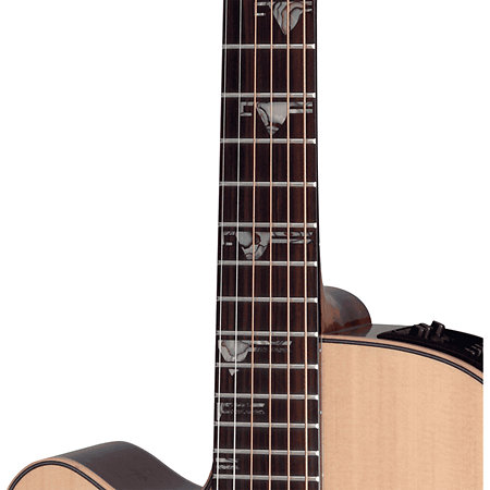 DSF48C-LH NEX Santa Fe Natural Gloss + Housse Takamine