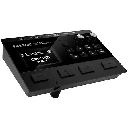 DM-310 NUX