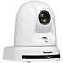AW-UE50WEJ White Panasonic