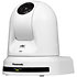 AW-UE50WEJ White Panasonic