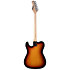 TL300 Sunburst EKO