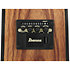 V40WSCE OPB Open Pore Brown Ibanez