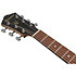 VC40WSCE Open Pore Brown Ibanez