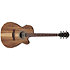 VC40WSCE Open Pore Brown Ibanez