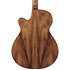 VC40WSCE Open Pore Brown Ibanez