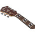 AE170 NTR Natural Gloss Top + Red Gloss Ibanez