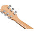 AE170 NTR Natural Gloss Top + Red Gloss Ibanez