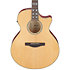 AE170 NTR Natural Gloss Top + Red Gloss Ibanez