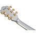 AS73G MSF Moonstone Silver Flat Ibanez