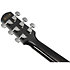 AAM340CE RUB Rustic Black High Gloss Ibanez