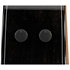 AAM340CE RUB Rustic Black High Gloss Ibanez