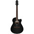 AAM340CE RUB Rustic Black High Gloss Ibanez