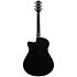 AAM340CE RUB Rustic Black High Gloss Ibanez