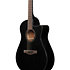 AAM340CE RUB Rustic Black High Gloss Ibanez