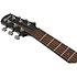 AAM340CE RUB Rustic Black High Gloss Ibanez