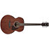 AJ54E OPN Open Pore Natural Ibanez