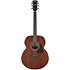 AJ54E OPN Open Pore Natural Ibanez