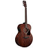 AJ54E OPN Open Pore Natural Ibanez