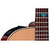 FSF40C NEX Santa Fe Natural Gloss + Housse Takamine