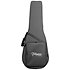 FSF40C NEX Santa Fe Natural Gloss + Housse Takamine