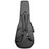 FSF40C NEX Santa Fe Natural Gloss + Housse Takamine