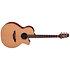 FSF40C NEX Santa Fe Natural Gloss + Housse Takamine