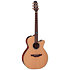 FSF40C NEX Santa Fe Natural Gloss + Housse Takamine