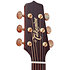FSF40C NEX Santa Fe Natural Gloss + Housse Takamine