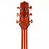 FSF40C NEX Santa Fe Natural Gloss + Housse Takamine