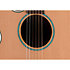 FSF40C-LH NEX Santa Fe Natural Gloss + Housse Takamine