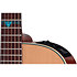 FSF40C-LH NEX Santa Fe Natural Gloss + Housse Takamine