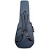 FSF40C-LH NEX Santa Fe Natural Gloss + Housse Takamine