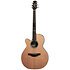 FSF40C-LH NEX Santa Fe Natural Gloss + Housse Takamine
