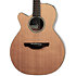 FSF40C-LH NEX Santa Fe Natural Gloss + Housse Takamine