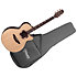 DSF48C NEX Santa Fe Natural Gloss + Housse Takamine