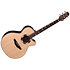 DSF48C NEX Santa Fe Natural Gloss + Housse Takamine